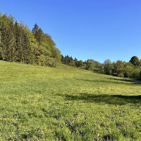 Smart B&b2 Bb2 305 Вінтерберг