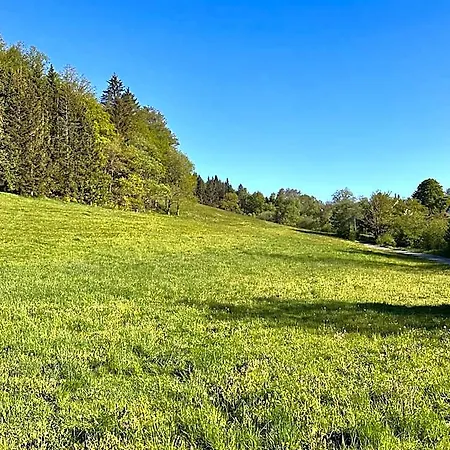 Smart B&b2 Bb2 305 Winterberg